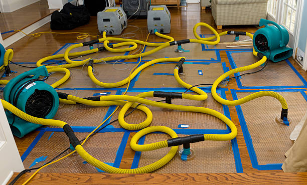 Professional Basement Flood Cleanup technician working in Bethlehem, IN